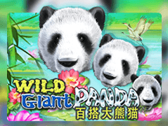 Wild Giant Panda screenshot
